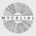 Mycelial Gallery logo